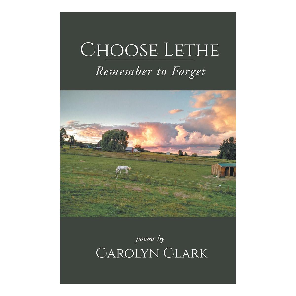 Choose Lethe: Remember To Forget