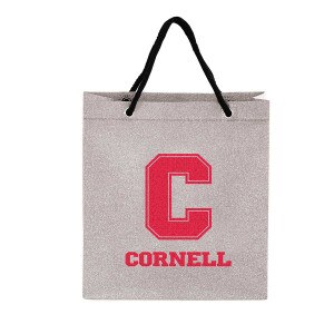 Cornell Glitter Silver Gift Bag
