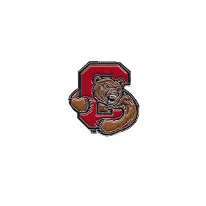 Cornell Bear Through C Lapel Pin