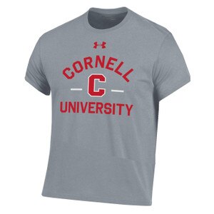 Youth Under Armour Cornell University Block C Tee - Gray