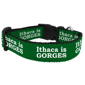 Ithaca is Gorges Dog Collar