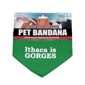 Ithaca is Gorges Dog Bandana