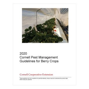 Cornell Cooperative Ext Pmep Guidelines The Cornell Store