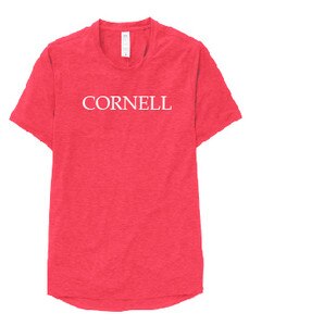 Ivy Citizens Cornell Tee