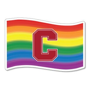 Block C Rainbow Flag Decal 3"