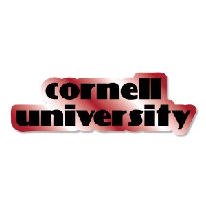 Red White Tie Dye Cornell University Dizzler Decal 3"