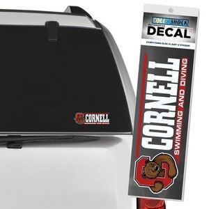 Cornell Swimming and Diving Decal Bear Through C