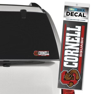 Cornell Squash Decal Bear Through C