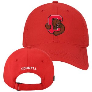 Bear Through C Cool Fit Adjustable Cap