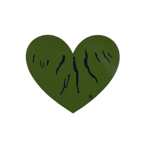 Green Heart Finger Lakes Magnet Small