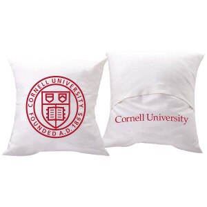 Cornell Seal Chenille Pillow