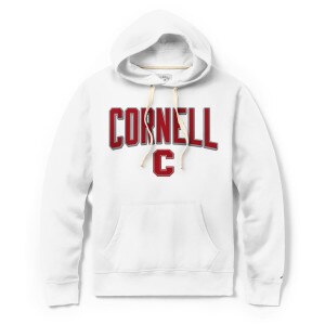 Cornell Shadow Felt Hood