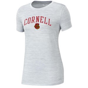 Women's Under Armour Bear Through C Tee