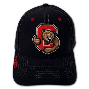 Bear Through C Fitted Cap