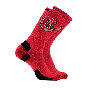 Bear Though C Merino Wool Blend Sock