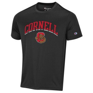 Champion Bear Through C Tee