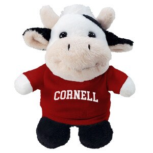 Mini Cow with Cornell Tee