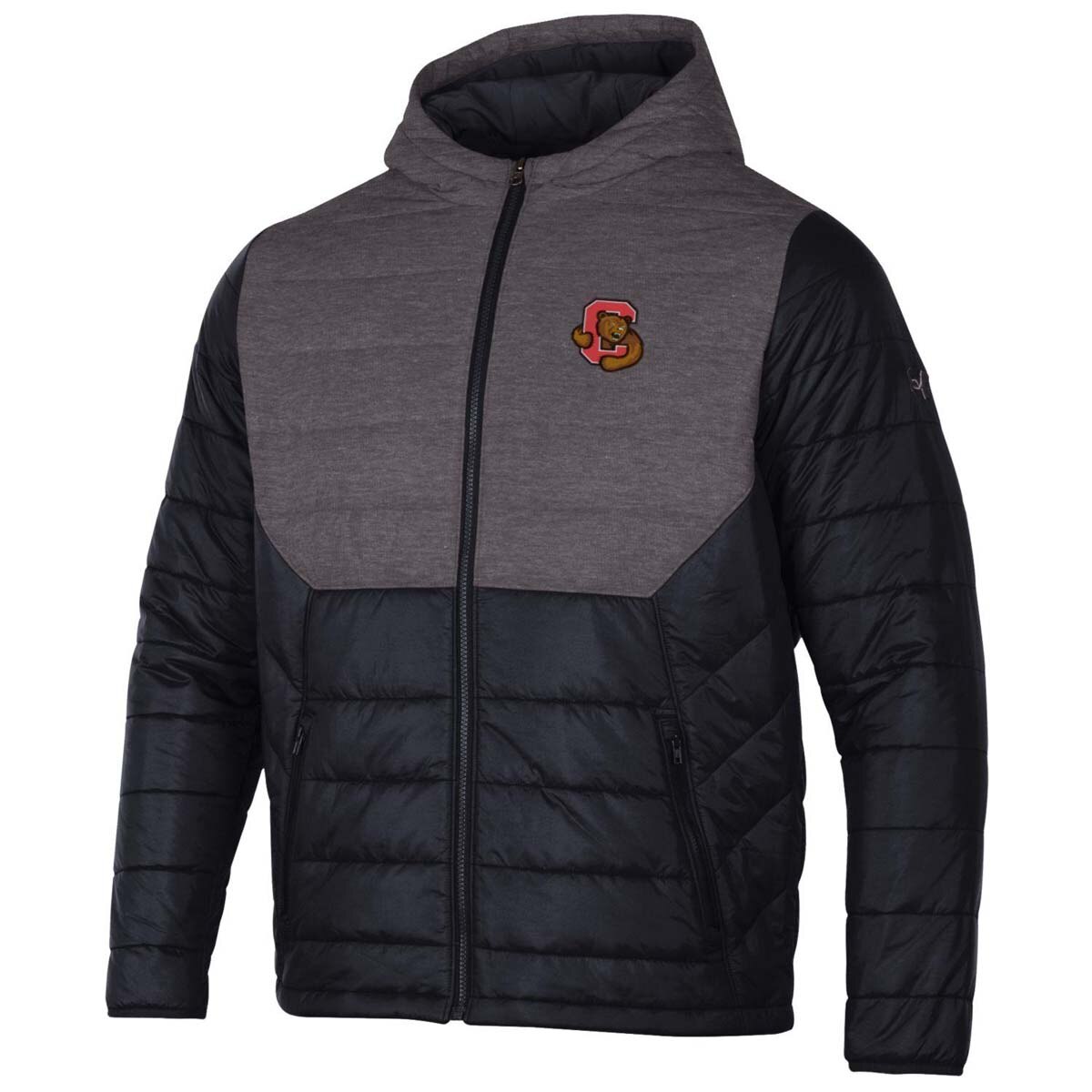 GAMEDAY UA Bear Through C Puffer Bk
