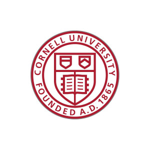 Red Cornell Seal Lapel Pin White Metal