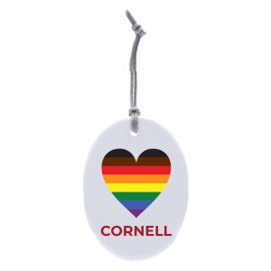 Oval Ceramic Ornament Rainbow Design