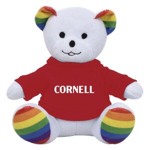 6" Rainbow Tee Bear Rainbow Design