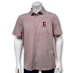 Vineyard Vines Cornell Bradley Stripe Polo