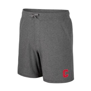 Cornell Rubberized Print Short