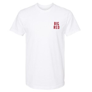 Cornell Painted Bear Tee