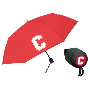 Block C Folding Umbrella
