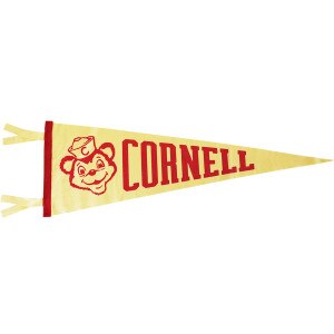 Bear with Block C Cap Cornell Pennant 9" x 27"