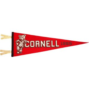Bear Leaning on Cornell Pennant 9" x 27"