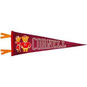 Bear Duo Pennant 9" x 27"