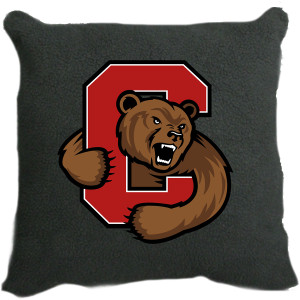 Bear Through C Pebble Fleece Pillow
