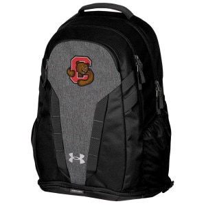 Bear Through C Under Armour Hustle 5.0 Backpack