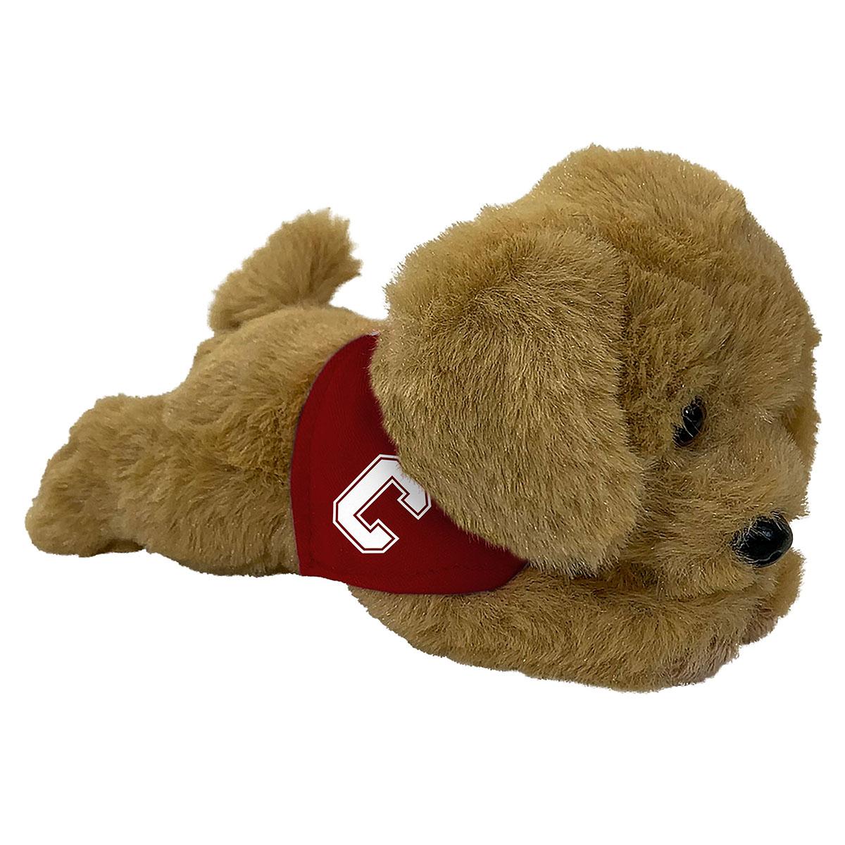 Mini Golden Retriever with Block C