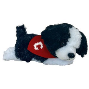Mini Border Collie with Block C Bandana