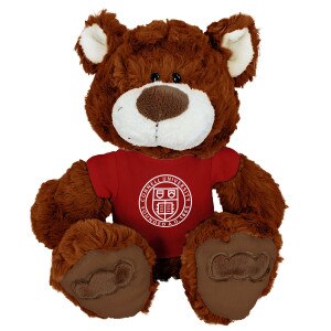 Lil' Rick Brown Bear with Seal Tee