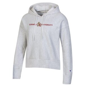 Champion Women's Bear Leaning on C Reverse Weave Hood