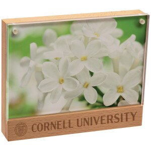 Wooden Frame with Cornell Seal