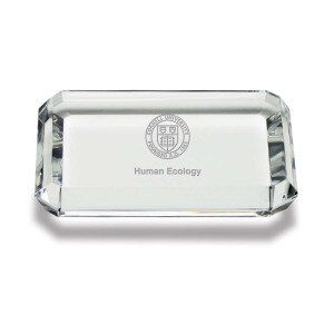 Custom School of Cornell Optic Rectangle Paperweight