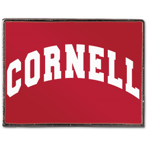 Rectangular Cornell Lapel Pin