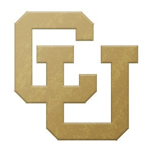 Interlocking Cornell University Lapel Pin