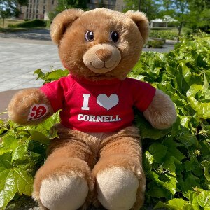 I Heart Cornell Build a Bear