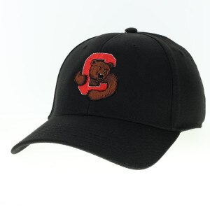 Bear Through C Serge Stretch Fit Cap