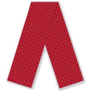 Cornell C Silk Scarf