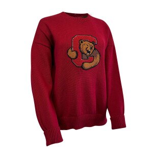 Women's Bear Through C Chenille Logo Sweater