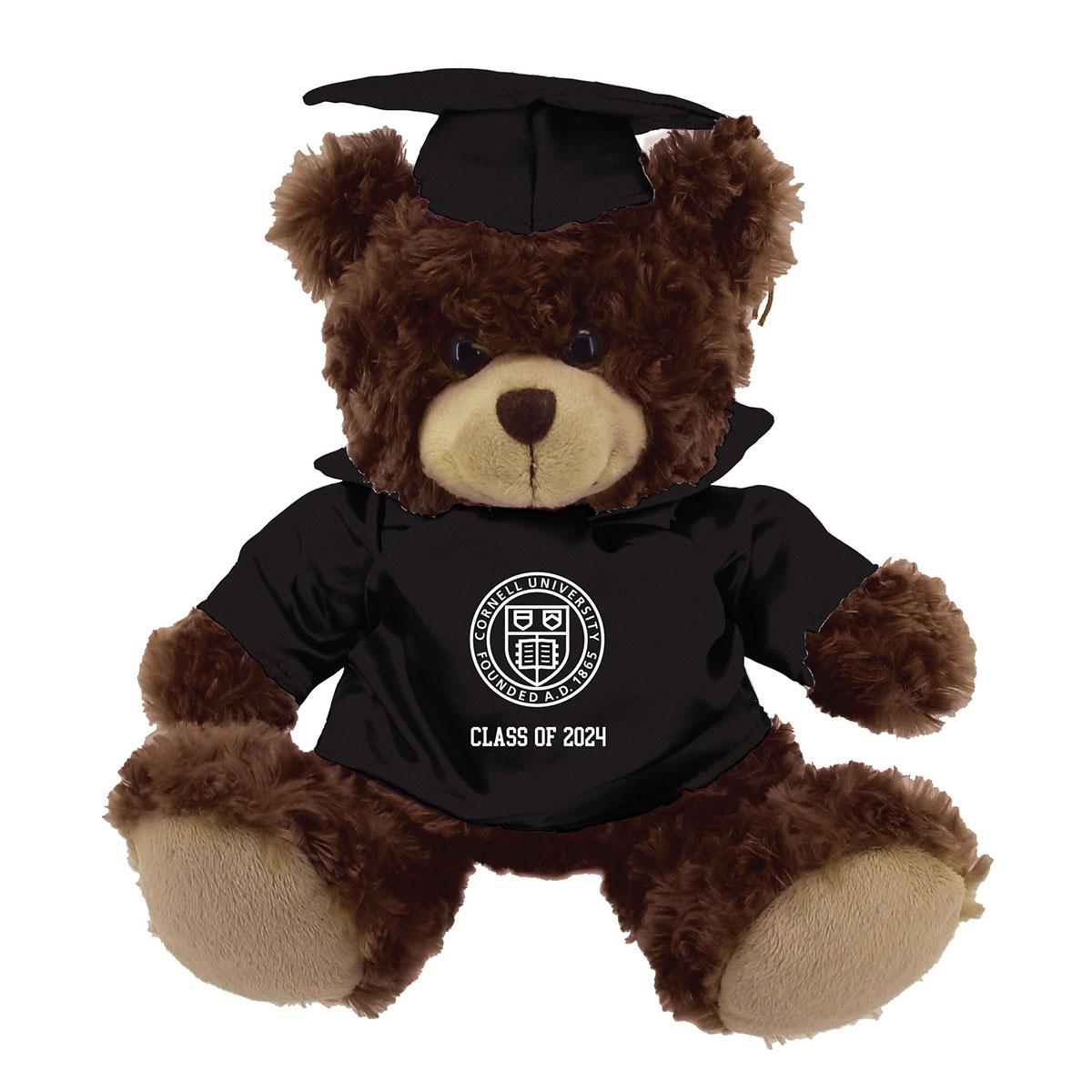 Cornell Class of 2024 Grad Bear