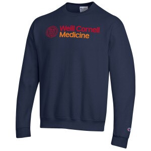 Champion sweater online online usa celulares