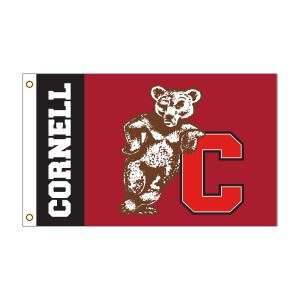 Leaning Bear on C Outdoor Flag