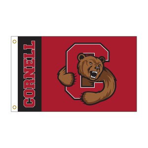 Bear Through C Outdoor Flag
